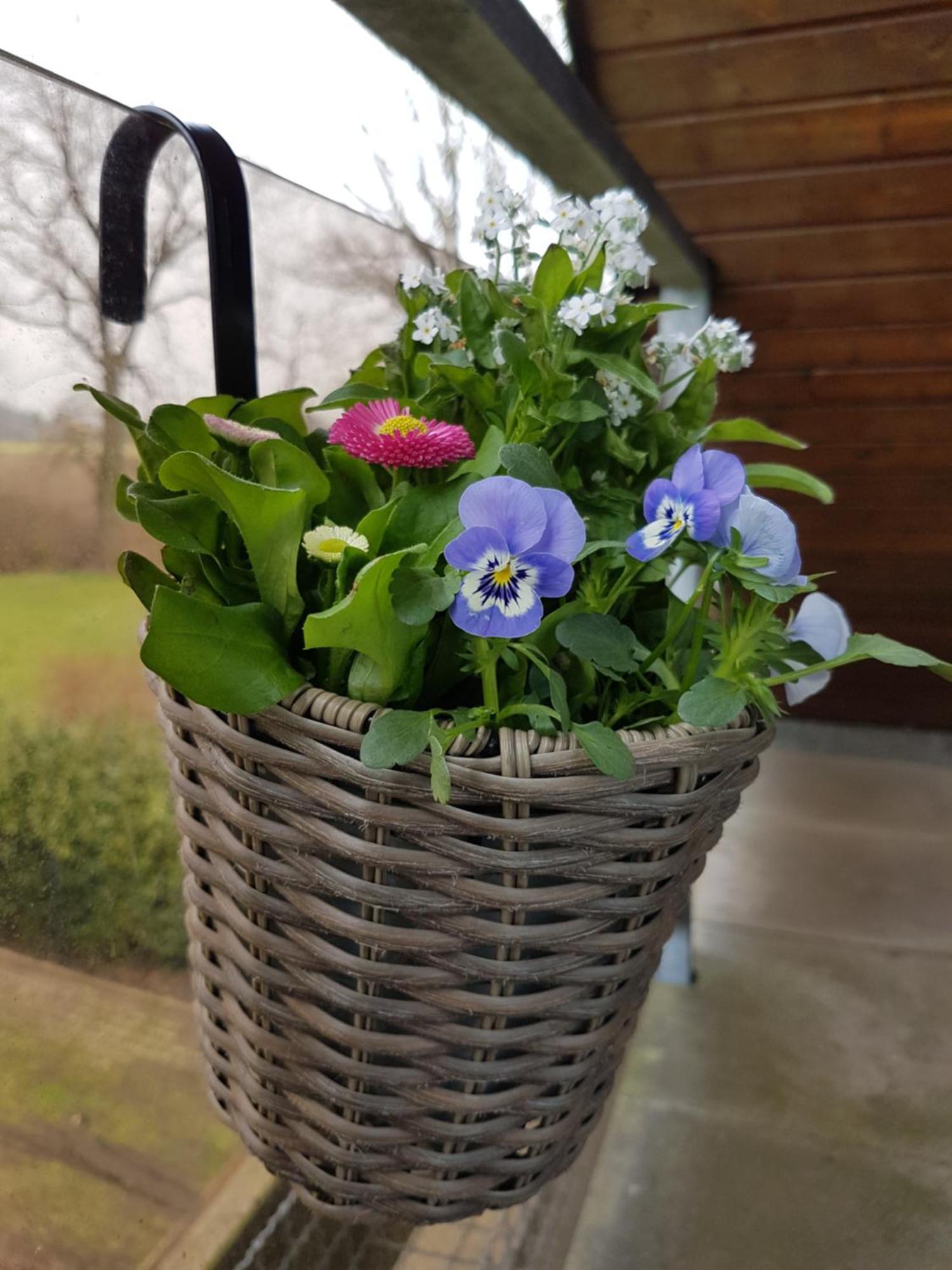 Gartenblick Seevetal