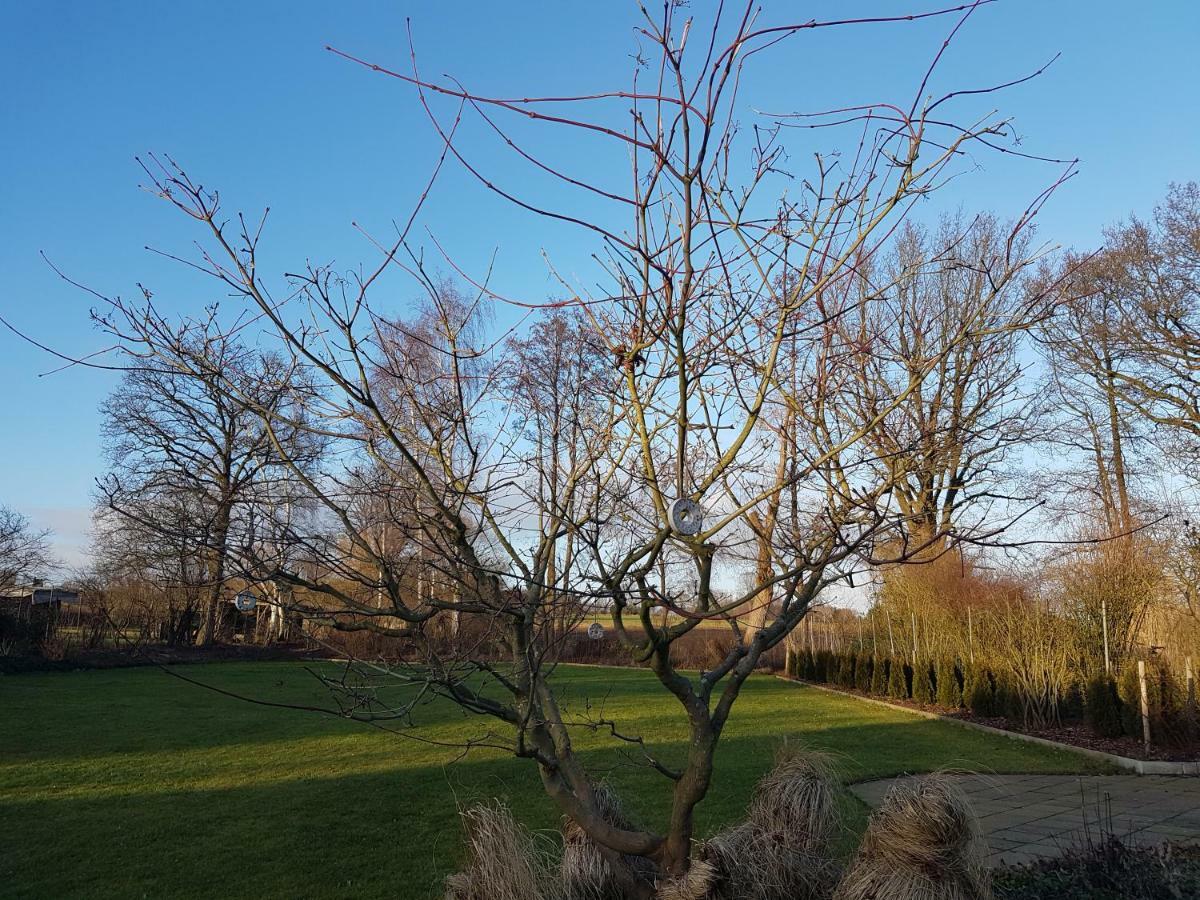Gartenblick Apartment *